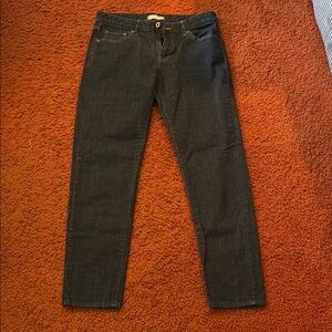 Uniqlo Blue Slim Jeans Timeless Fit